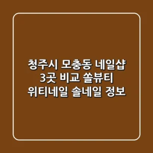 청주시 모충동 네일샵 3곳 비교 - 쏠뷰티, 위티네일, 솔네일 정보