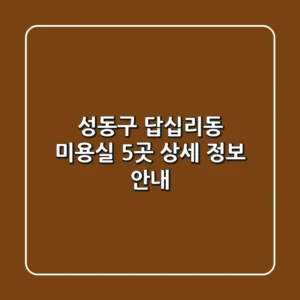 성동구 답십리동 미용실 5곳 상세 정보 안내