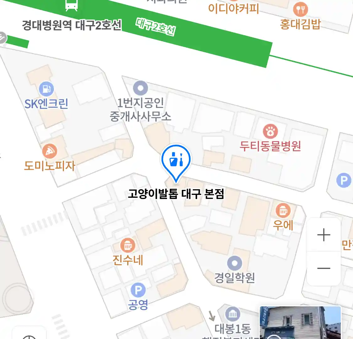 고양이발톱 대구 본점 위치