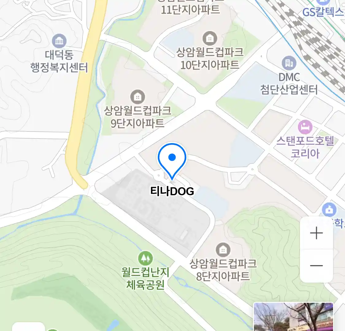 티나DOG 위치