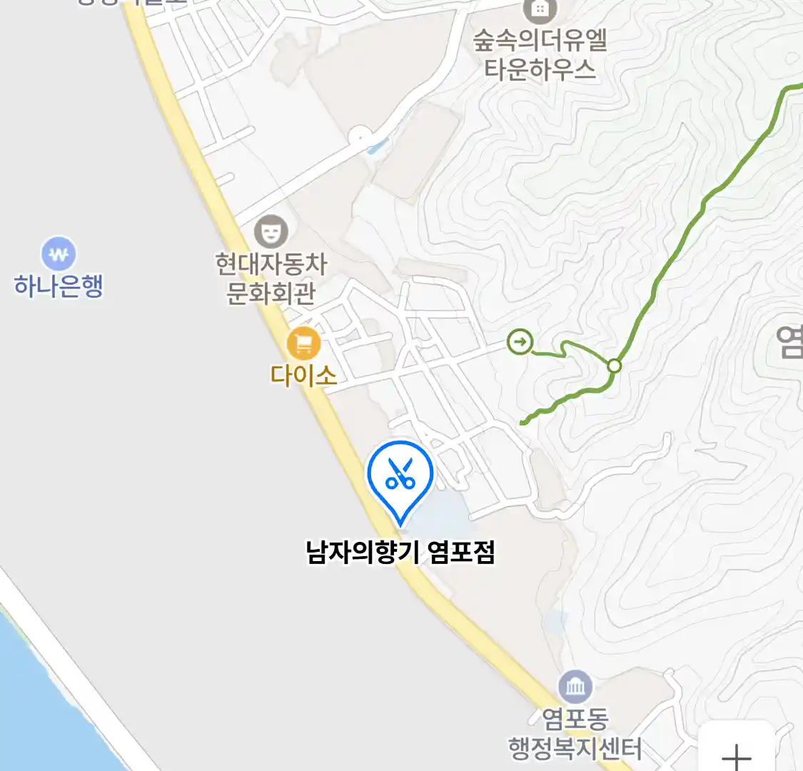 남자의향기 염포점 위치