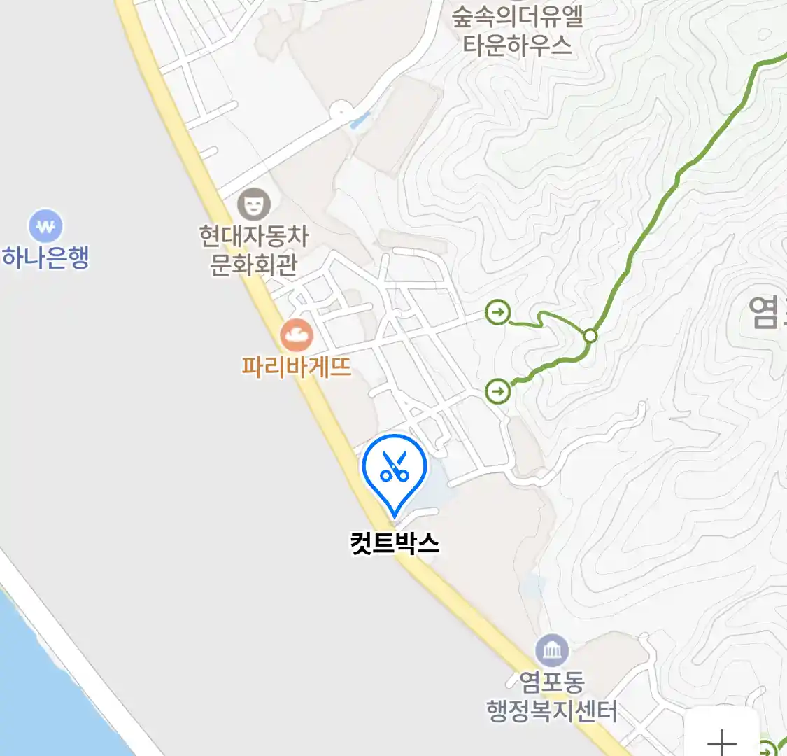 컷트박스 위치