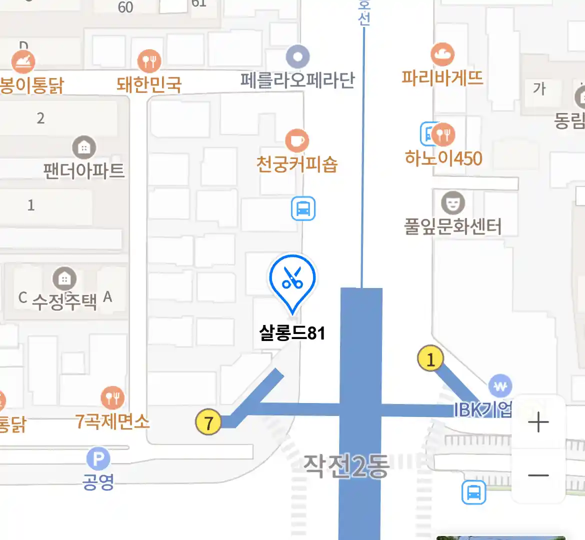 살롱드81 위치