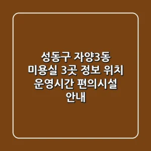 성동구 자양3동 미용실 3곳 정보 - 위치, 운영시간, 편의시설 안내