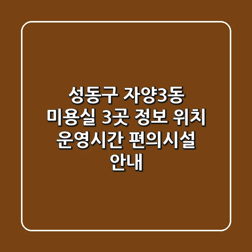 성동구 자양3동 미용실 3곳 정보 - 위치, 운영시간, 편의시설 안내