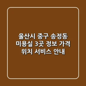 울산시 중구 송정동 미용실 3곳 정보 - 가격, 위치, 서비스 안내