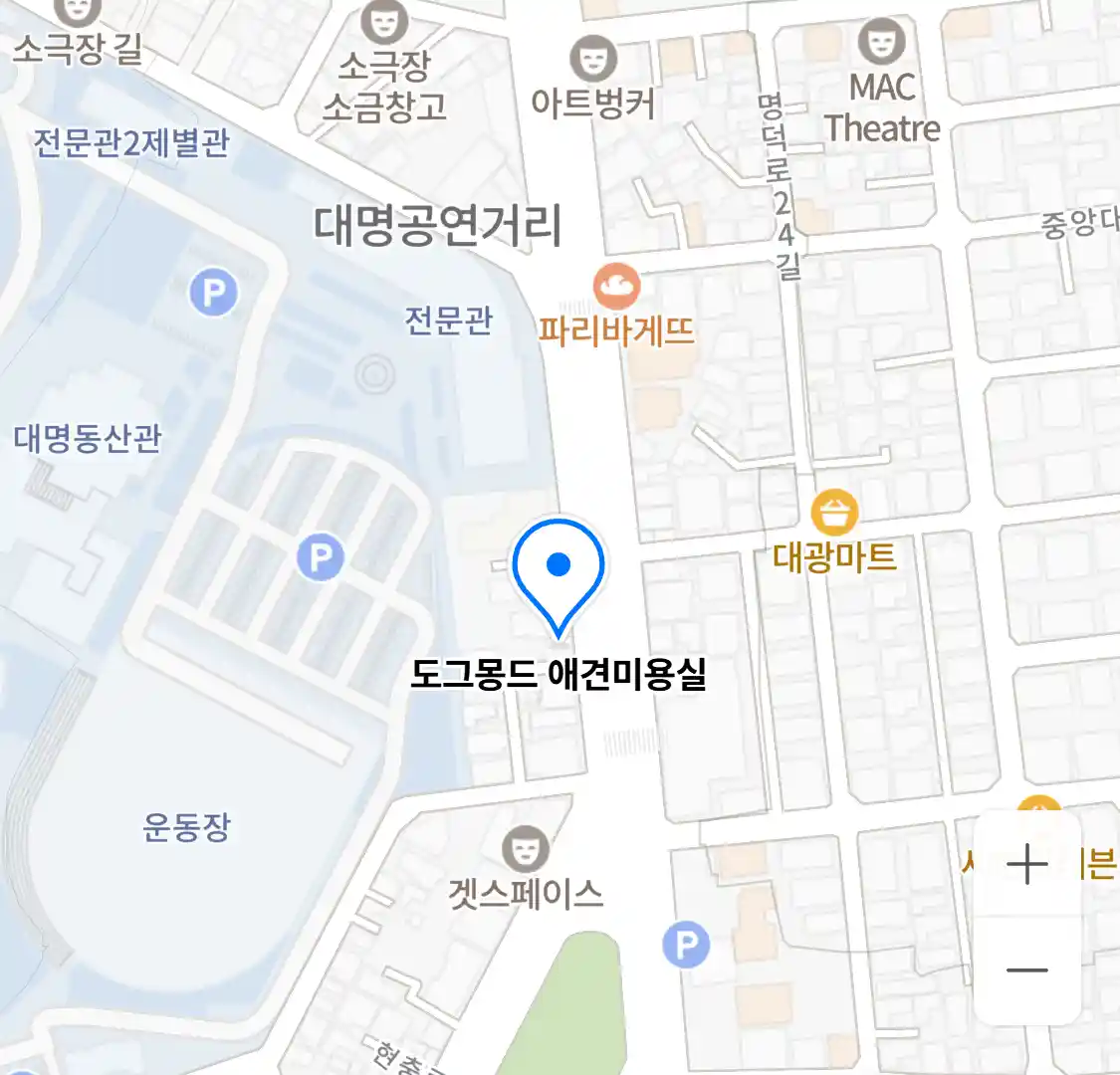 도그몽드 애견미용실 위치
