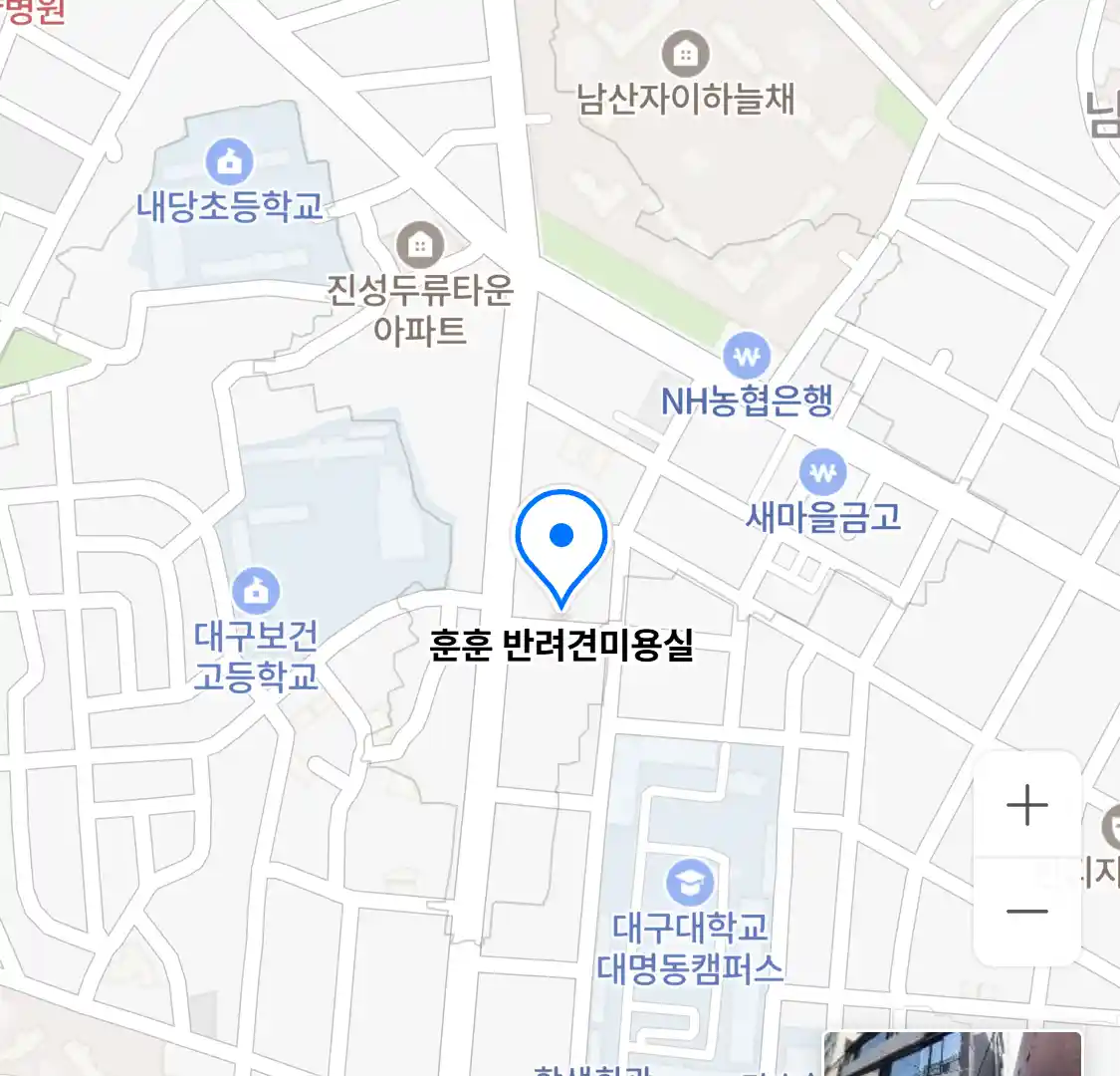 훈훈 반려견미용실 위치