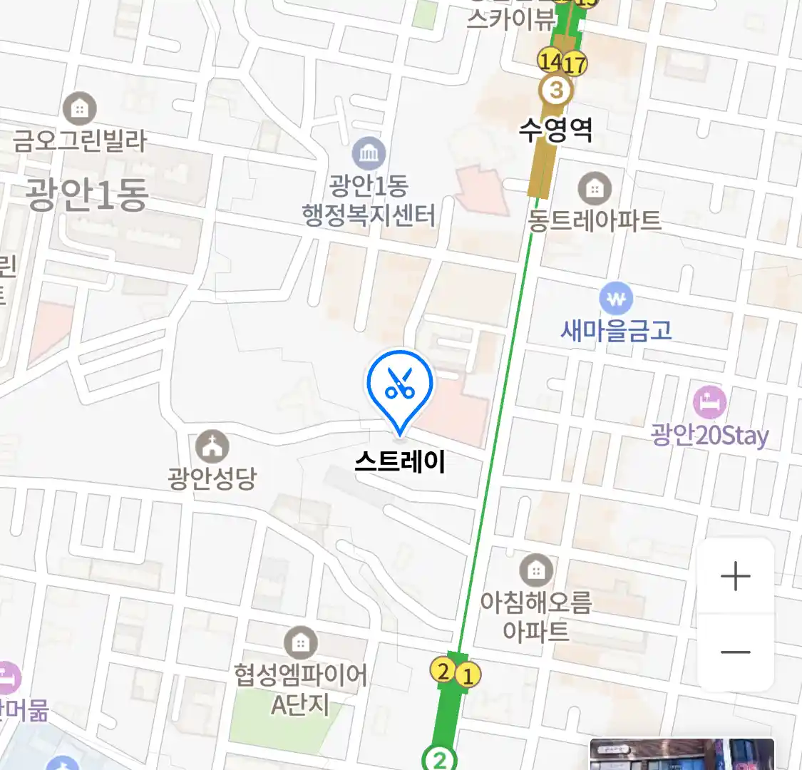 스트레이 위치