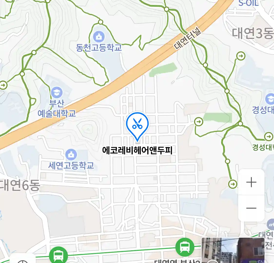 에코레비헤어앤두피 위치