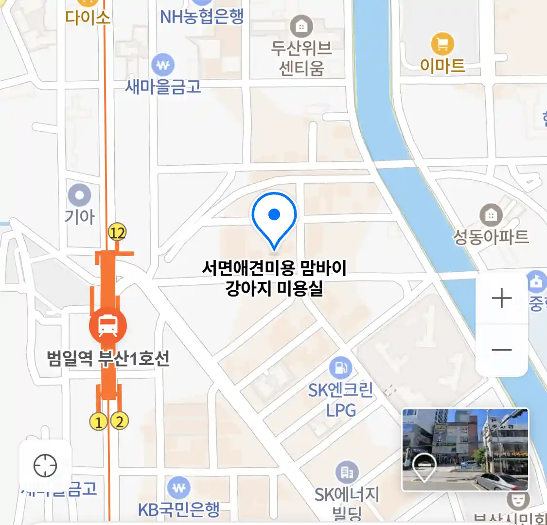 서면애견미용 맘바이 강아지 미용실 위치