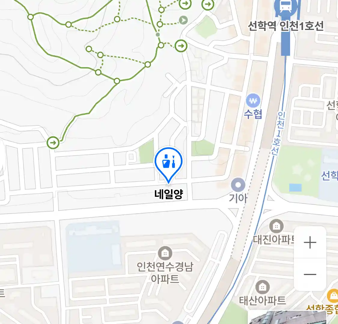 네일양 위치