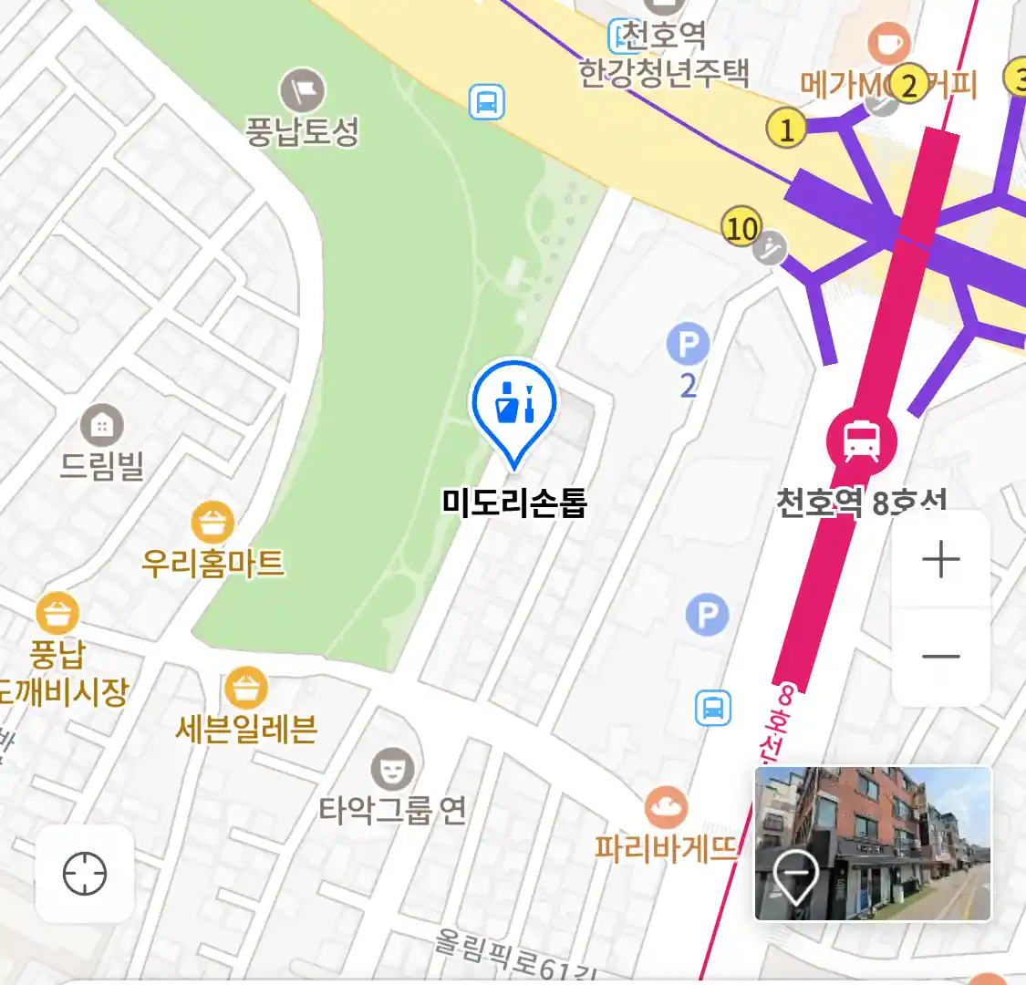 미도리손톱 위치