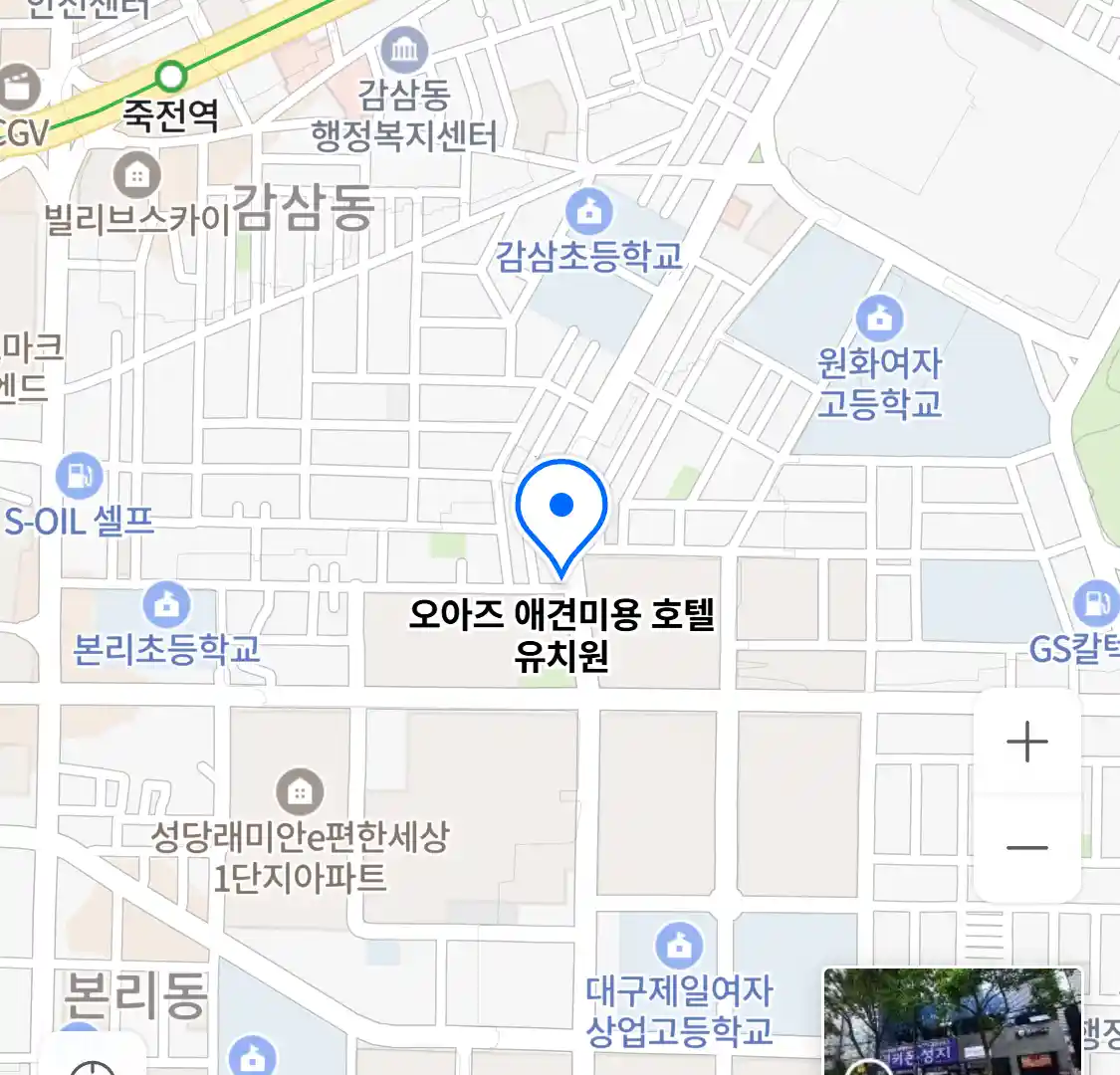 오아즈 애견미용 호텔 유치원 위치