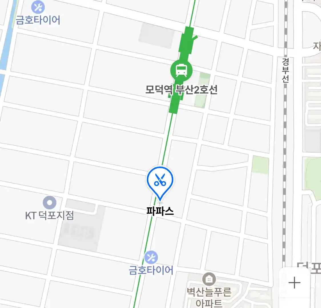 파파스 위치