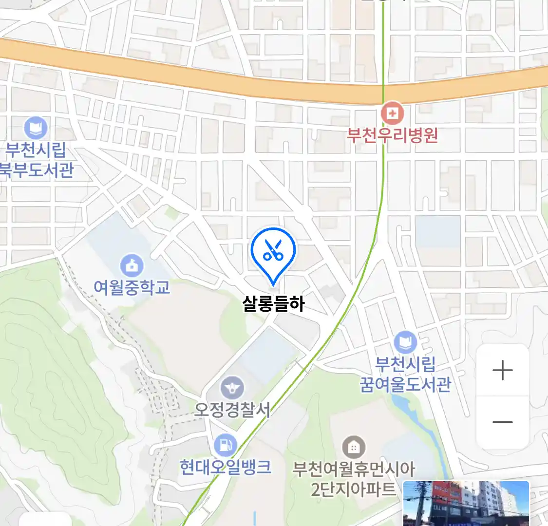 살롱들하 위치