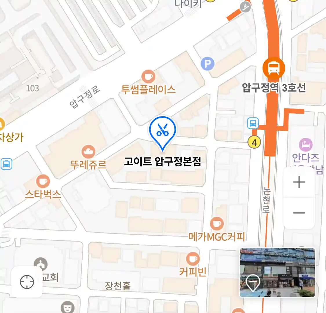 고이트 압구정본점 위치